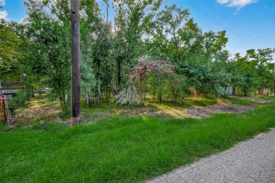 22722 Cr 384a, Damon, TX 77430 - #3