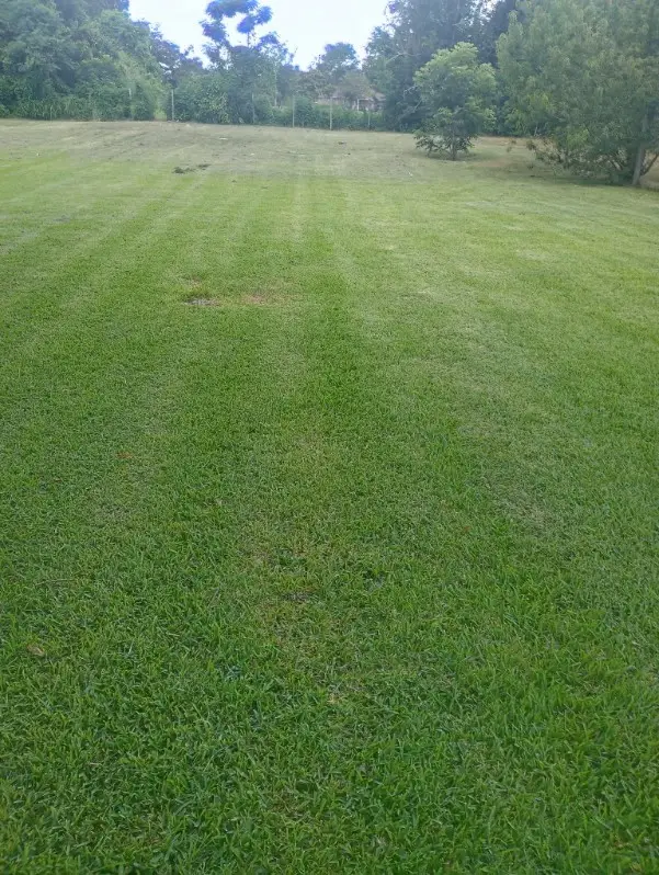 Lots 9,10,11,12 Branch St, Wharton, TX 77488 - #2