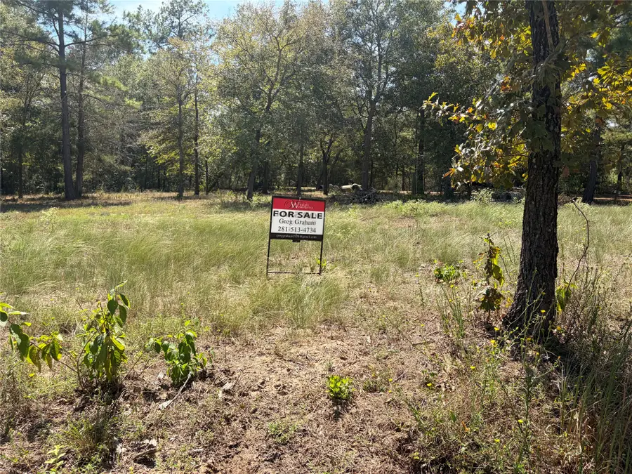 24683 Cavan, Hempstead, TX 77445 - #3