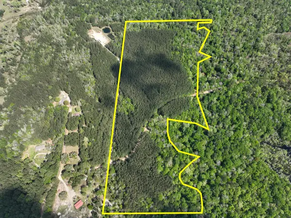 0 Cr 4525, Warren, TX 77664