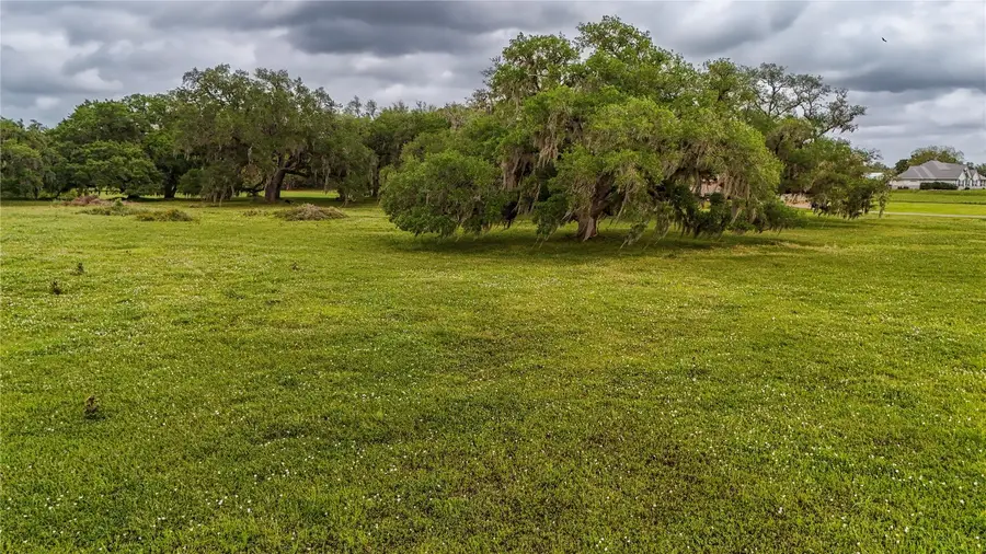 1207 Mill Road, Angleton, TX 77515 - #3