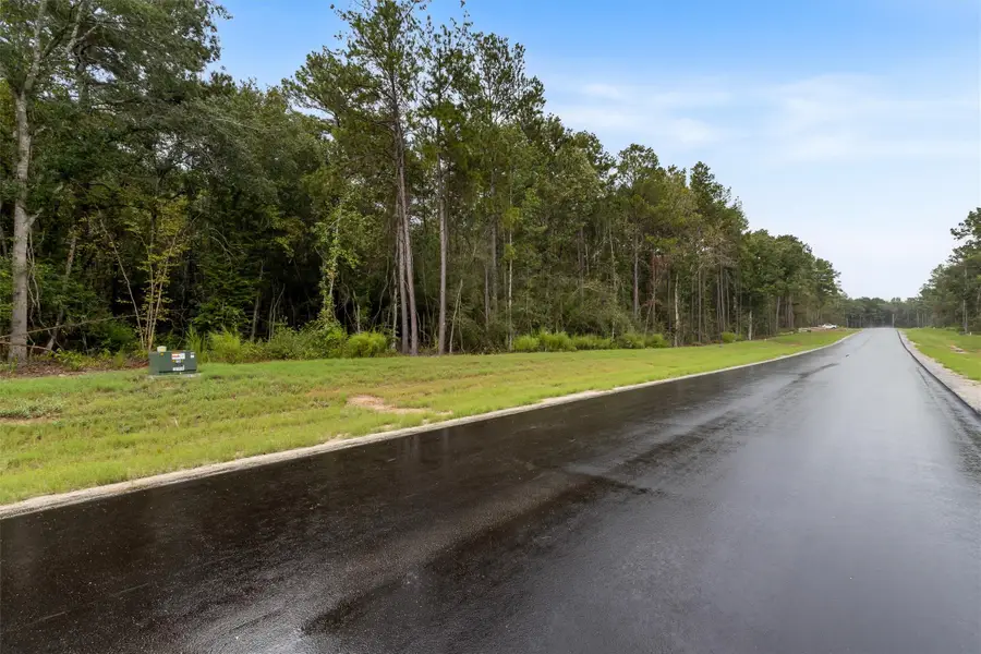 138 Cattle Haven Way, New Waverly, TX 77358 - #3