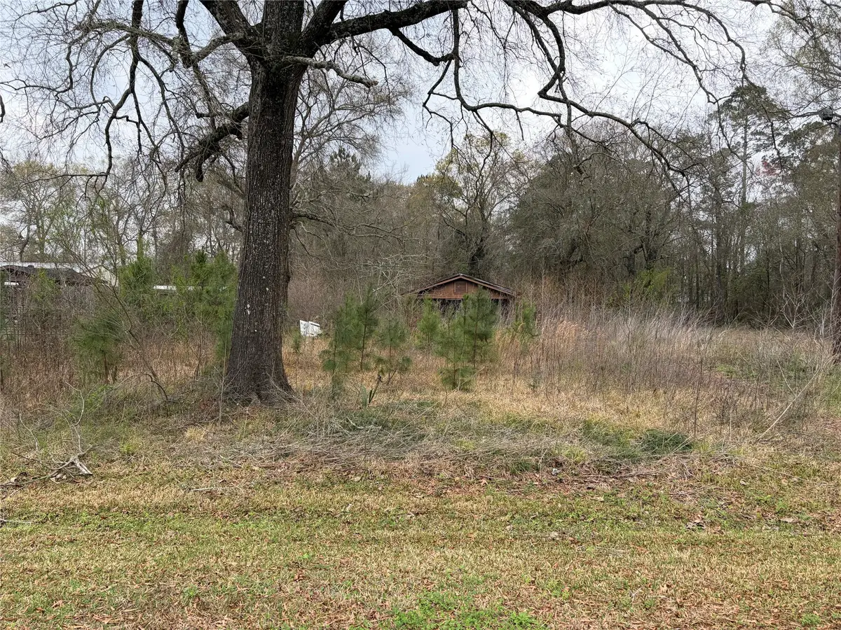 1345 3rd Street, Vidor, TX 77662 - #1