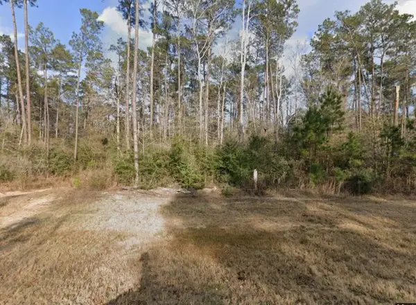 10721 Ruger Road, Willis, TX 77378