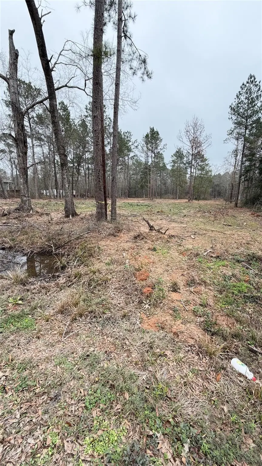 0 Dogwood Trail, Shepherd, TX 77371 - #3