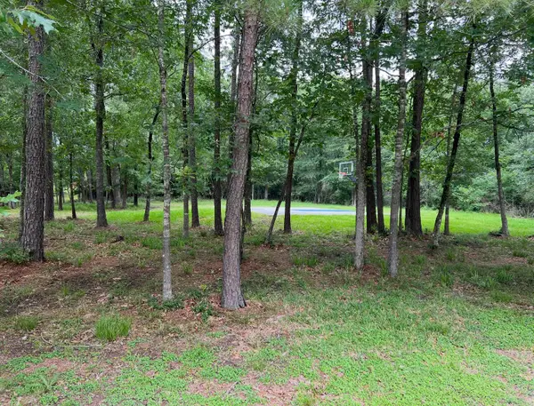11455 Lake Oak Drive, Montgomery, TX 77356