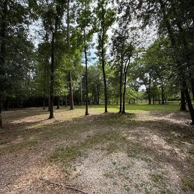 16611 Old Coach Road, Stagecoach, TX 77355 - #3