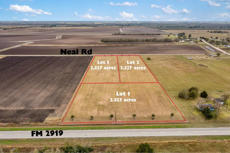 000 Fm 2919 Lot 1, Beasley, TX 77417 - Image #2