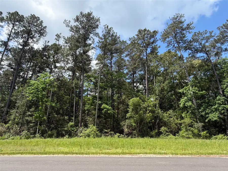 15744 Ridge Oak Road, Willis, TX 77378 - #2