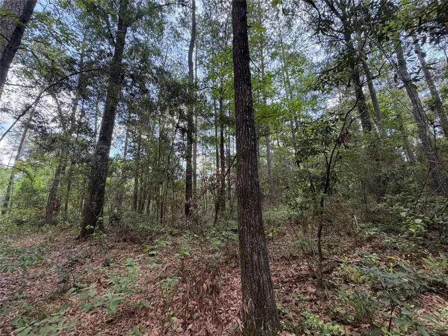 15744 Ridge Oak Road, Willis, TX 77378 - #3