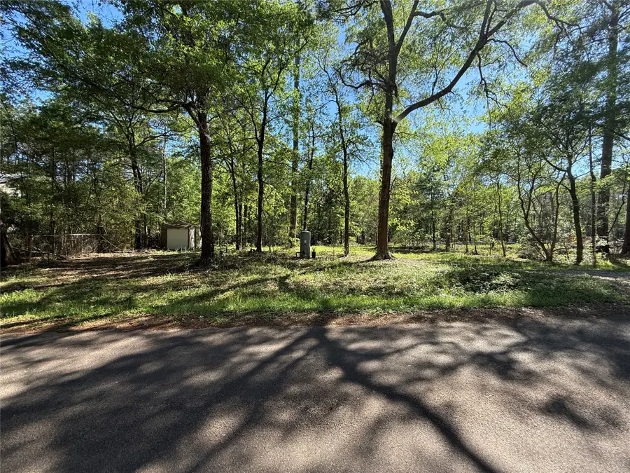 13959 County Road 201 Loop, Plantersville, TX 77363 - #3