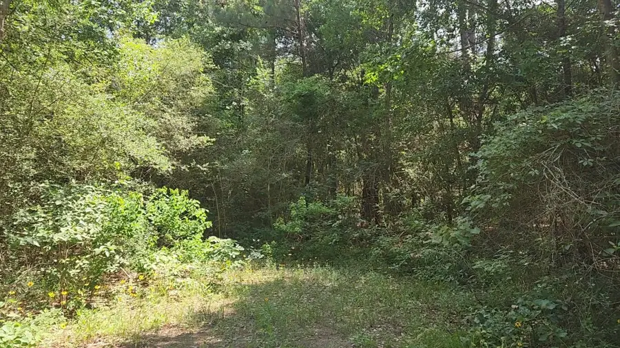 #3