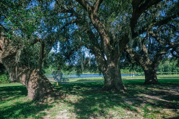 10671 Hidalgo Falls Rd, Washington, TX 77880