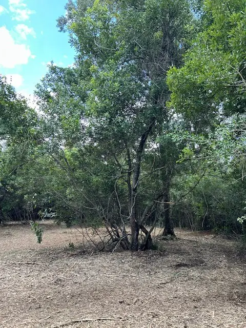 #2