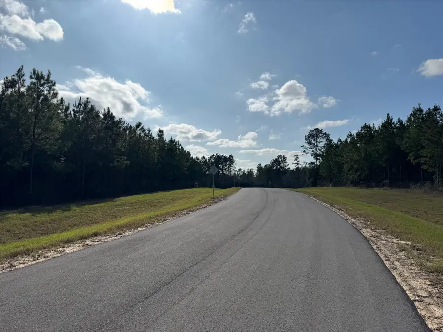 15697 Forest Grove Drive, Willis, TX 77378 - #2