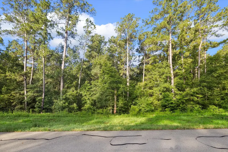 00 Sandpiper Drive, New Waverly, TX 77358 - #2