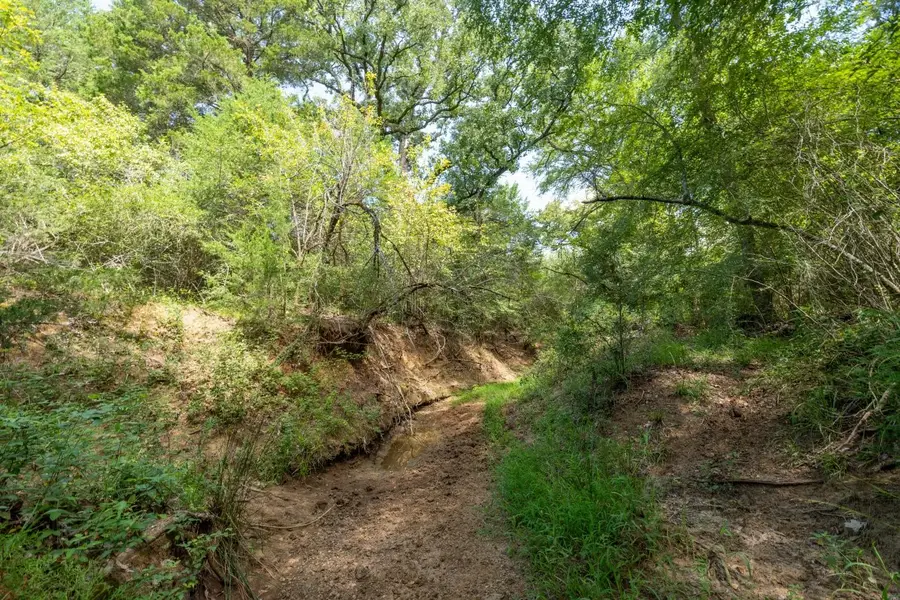 0 County Road 328, Caldwell, TX 77836 - #3