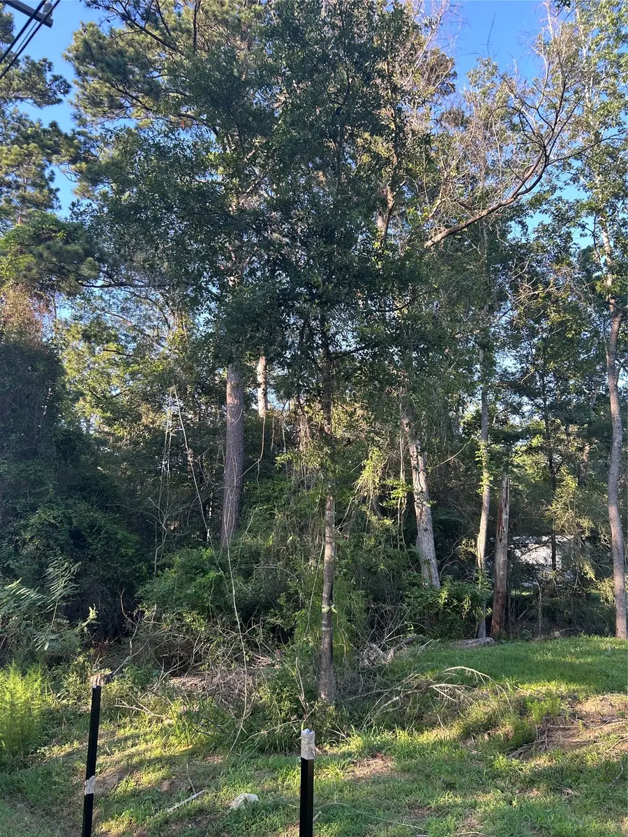 13881 Park Ave, Conroe, TX 77384 - #2