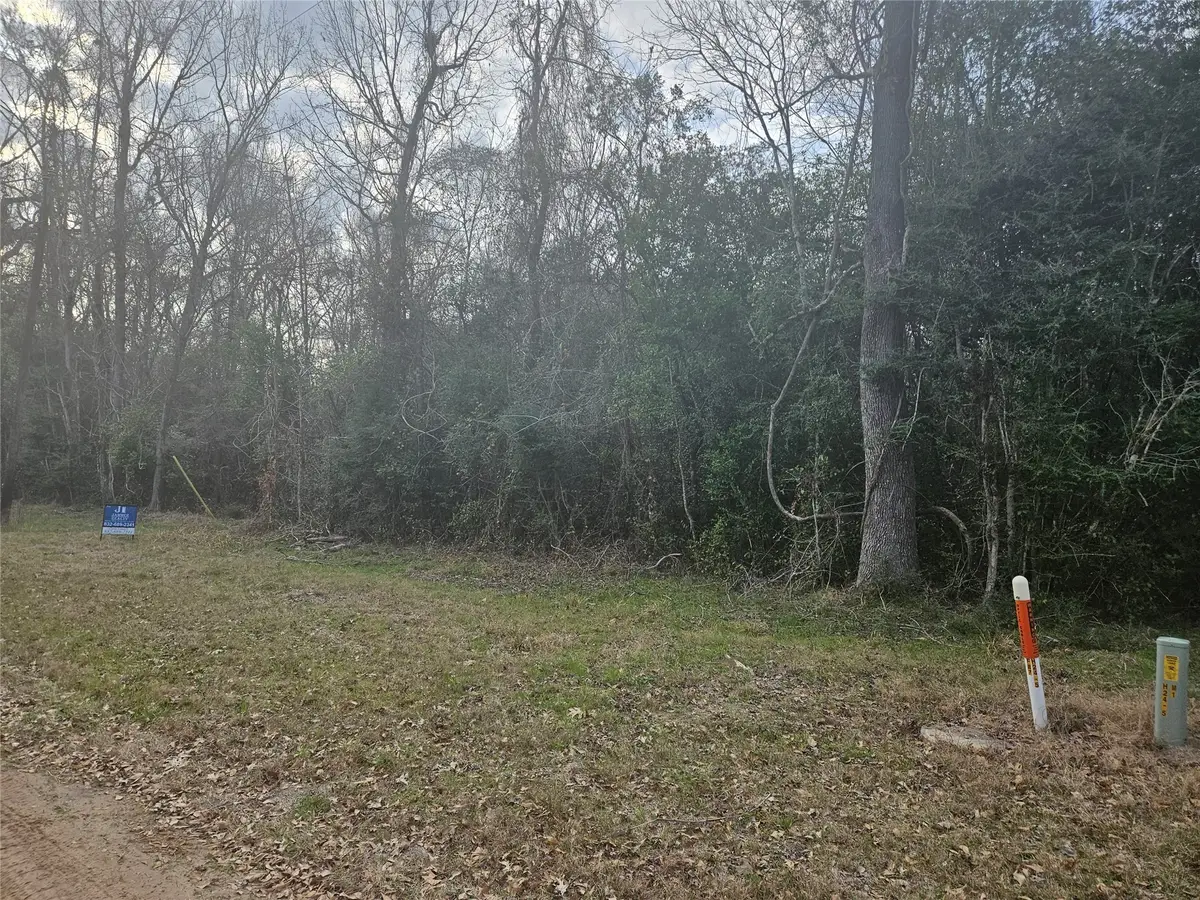 0 Winding Creek Drive, Shepherd, TX 77371 - #1