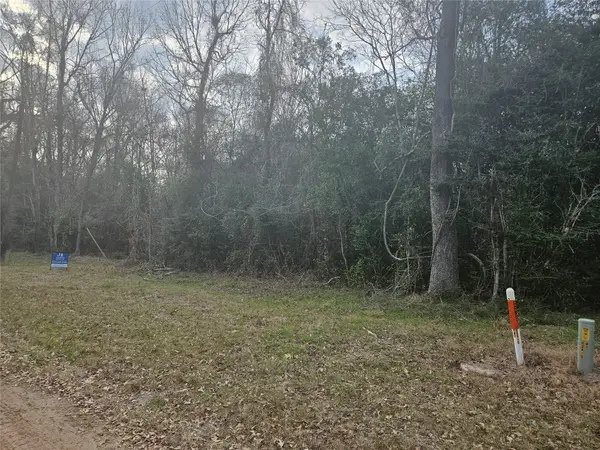 0 Winding Creek Drive, Shepherd, TX 77371