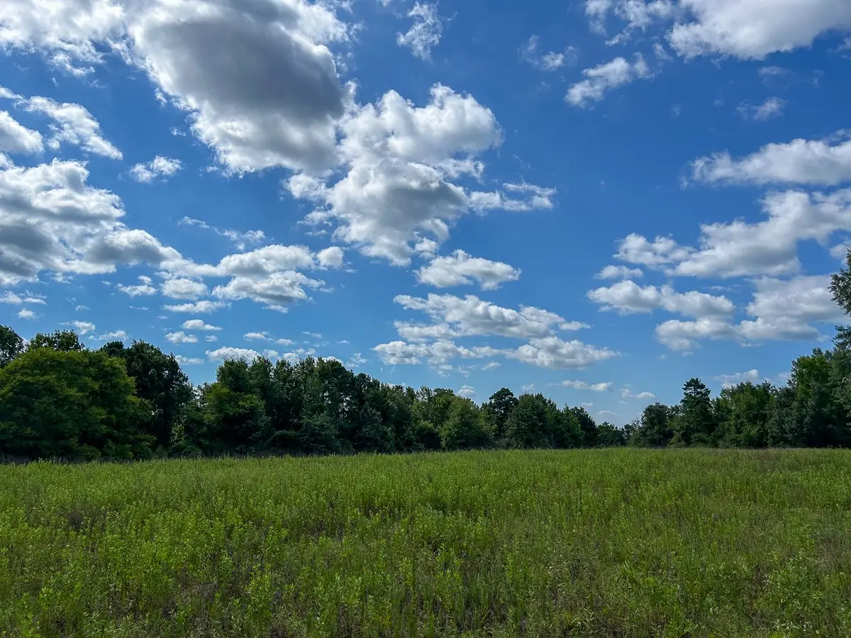 TBD County Road 1804, Rusk, TX 75785 - #1