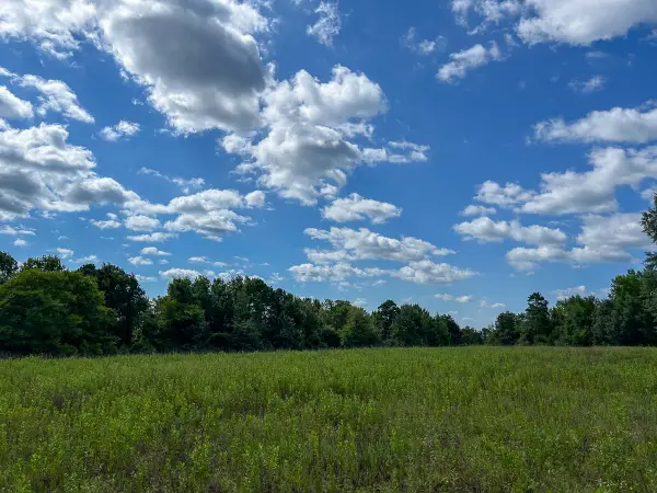 TBD County Road 1804, Rusk, TX 75785