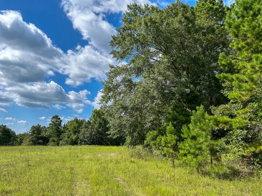 TBD County Road 1804, Rusk, TX 75785 - #2