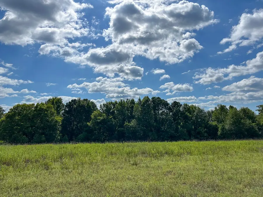 TBD County Road 1804, Rusk, TX 75785 - #3