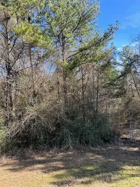 17751 Appaloosa Drive, Waller, TX 77484 - #2