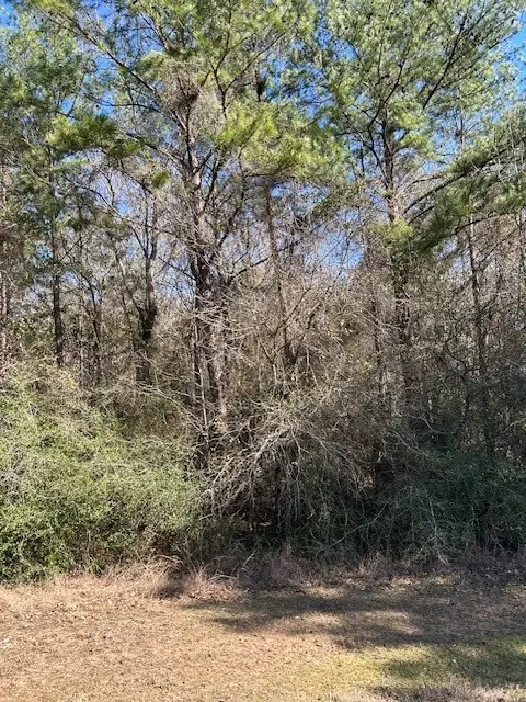 17751 Appaloosa Drive, Waller, TX 77484 - #3