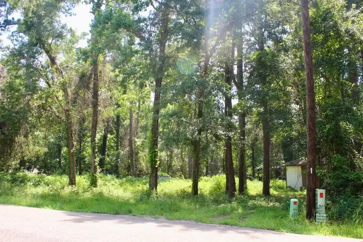 410 Dogwood Trail, Conroe, TX 77316 - #1