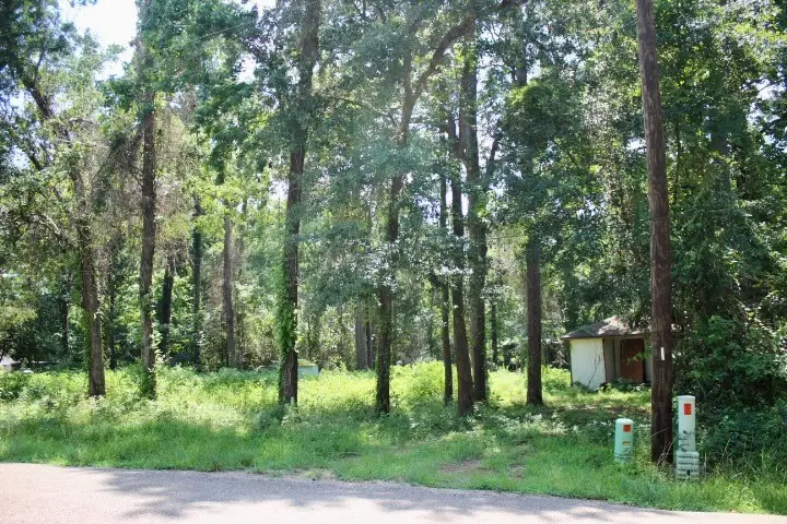 410 Dogwood Trail, Conroe, TX 77316 - #2