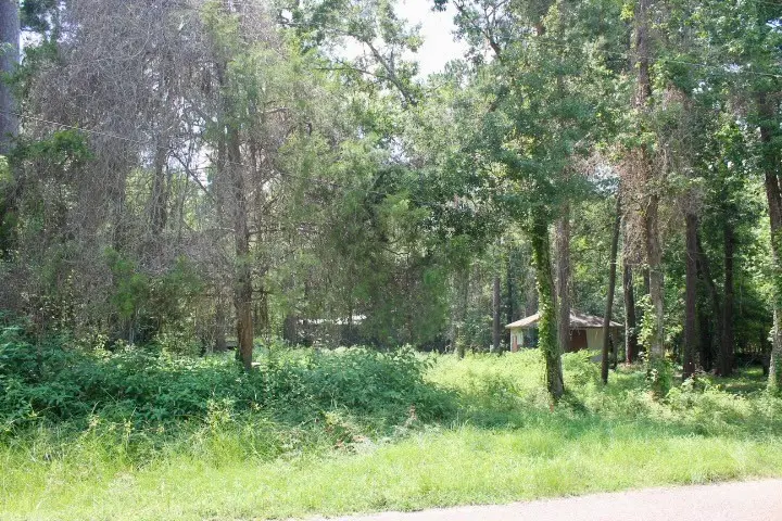 410 Dogwood Trail, Conroe, TX 77316 - #3