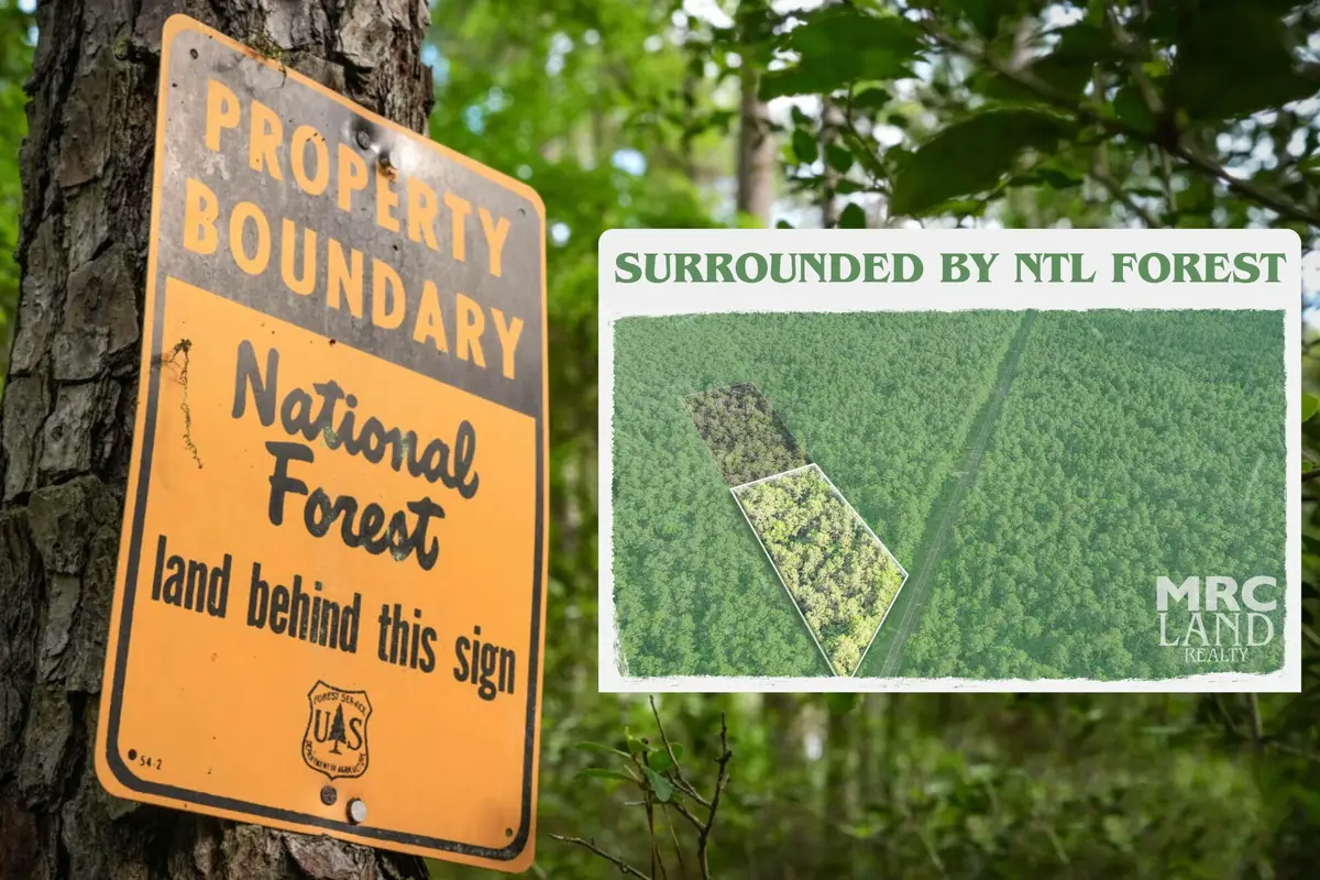 00 Farm To Market 357, Kennard, TX 75847 - #1