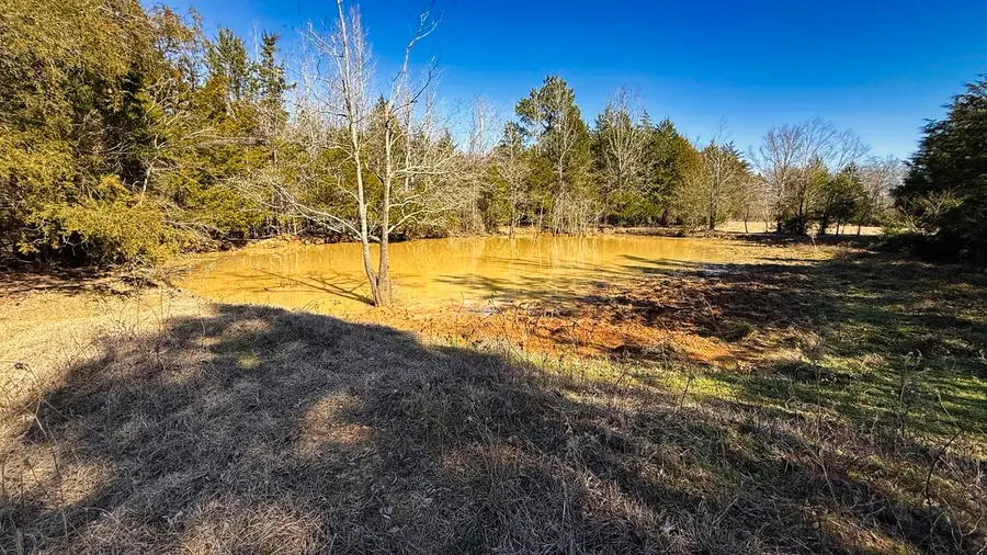 TBD #2 County Road 477, Henderson, TX 75654 - #2