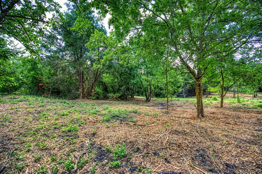 Lots 3 & 4 Wonder Hill Road, Chappell Hill, TX 77426 - #3