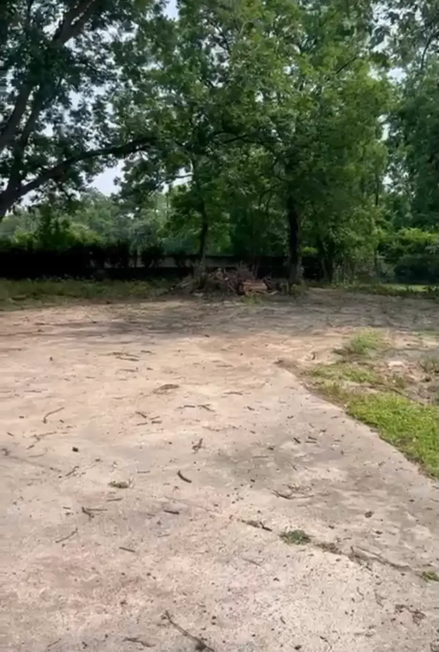 750 Pickering Street, Houston, TX 77091 - #3