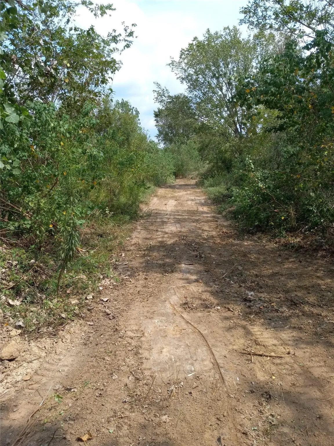 0 0 Neiman Road, Houston, TX 77091 - Image #1