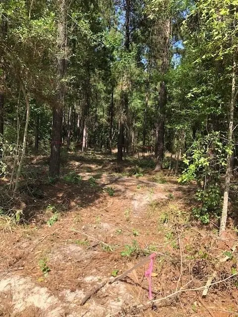 0 Kickapoo - Tract 33 Colt Ii Road, Groveton, TX 75845 - #2
