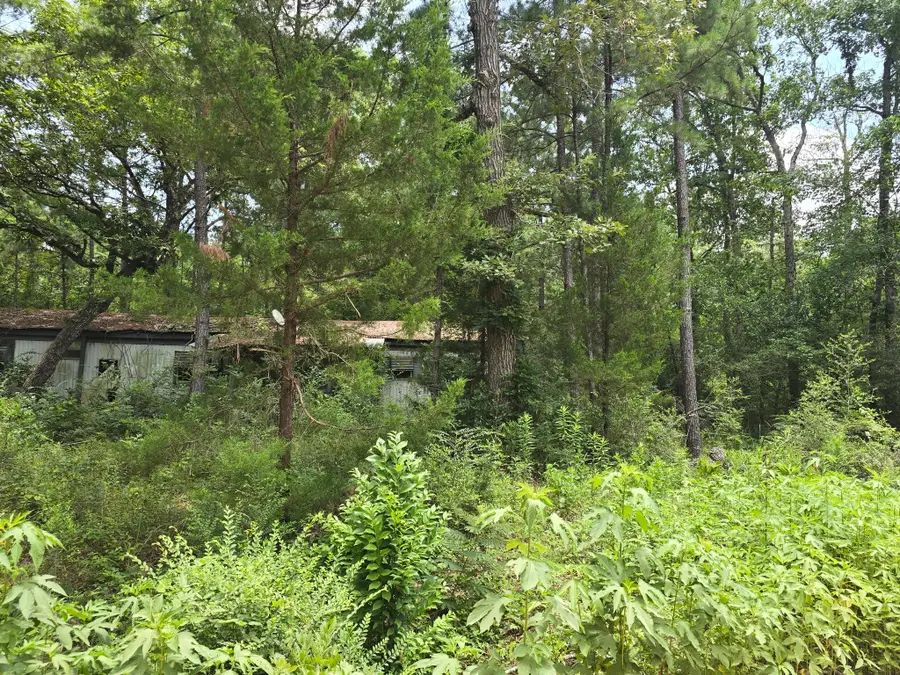 261 Patricia Drive, Livingston, TX 77351 - #3