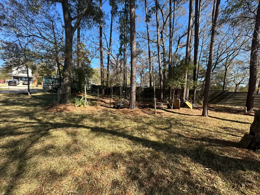 512 Navajo Street, Montgomery, TX 77316 - #3