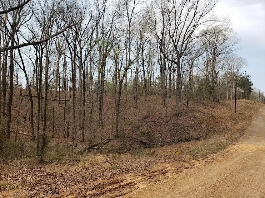 1172 Edgewood Drive, Saulsbury, TN 38067 - #1
