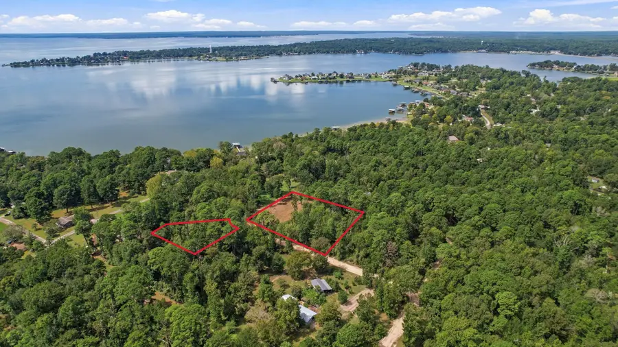 TBD Lake Forest Dr, Livingston, TX 77351 - #3