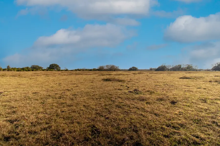 TBD County Road 443/446, Ganado, TX 77962 - #3