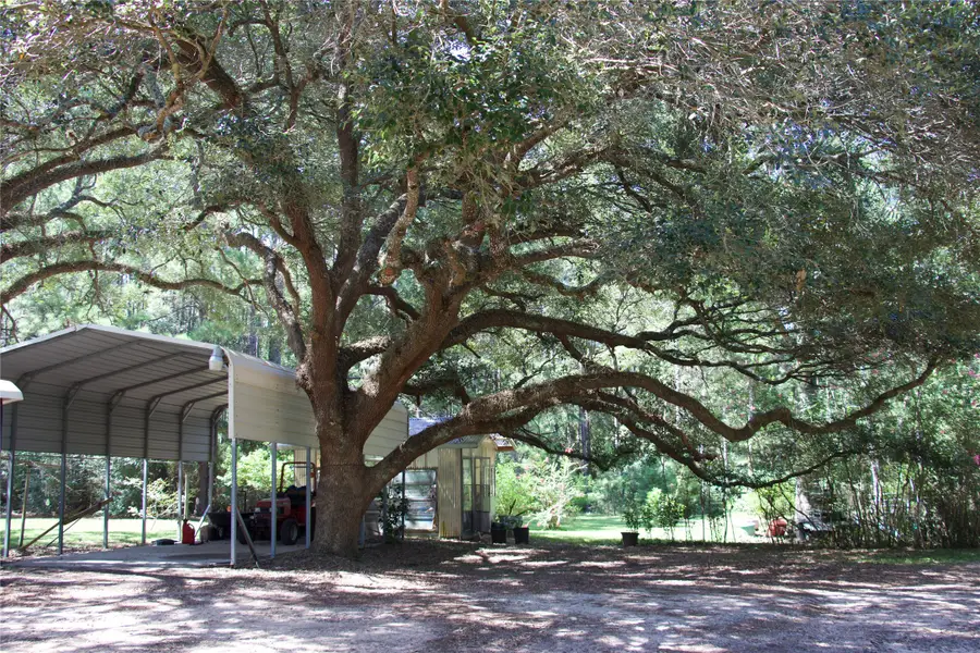 251 C Everitt Road, Cleveland, TX 77328 - #3