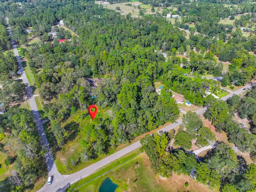 11855 Magnolia Bend Dr, Conroe, TX 77302 - #2
