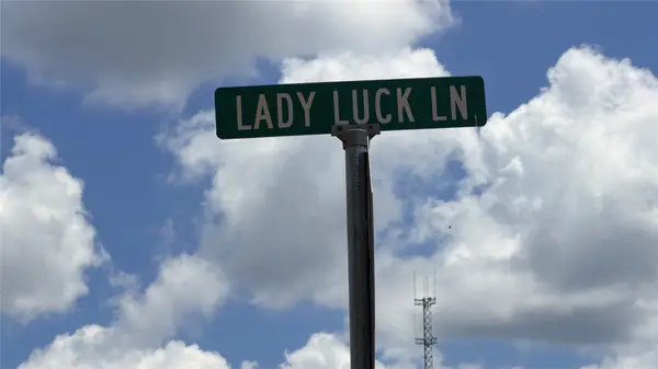 TBD Lady Luck Ln Parcel 246445 Road, Livingston, TX 77351
