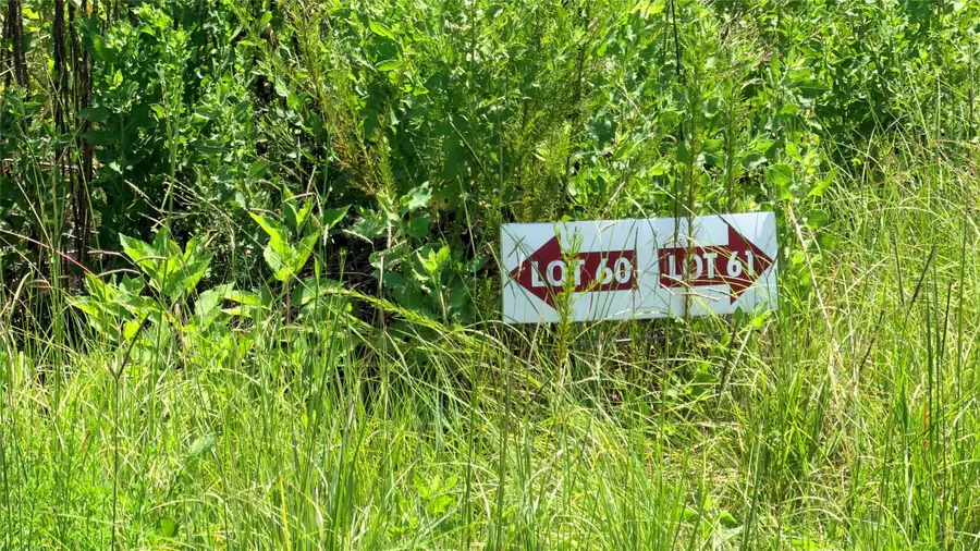 TBD Lady Luck Ln Parcel 246445 Road, Livingston, TX 77351 - #3