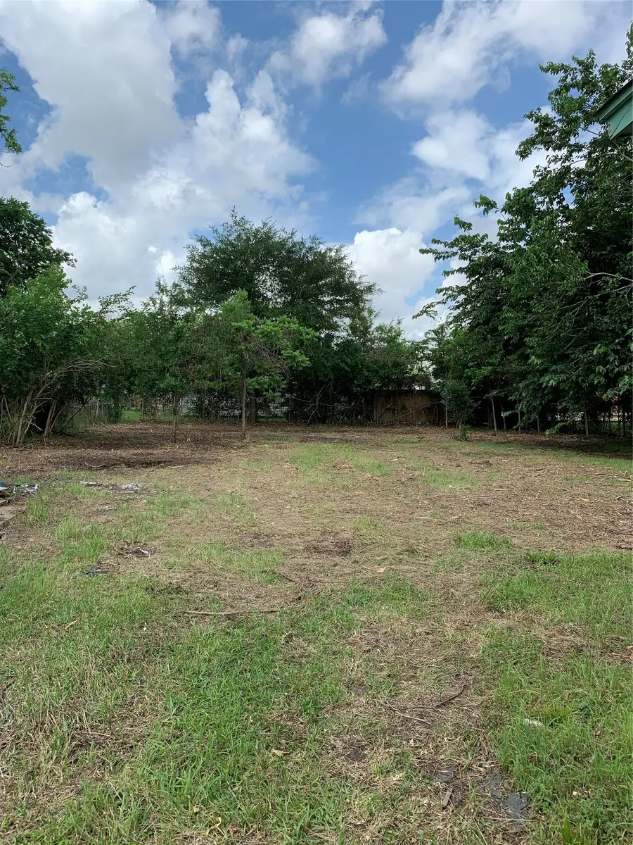 4307 Wayne Street, Houston, TX 77026 - #3