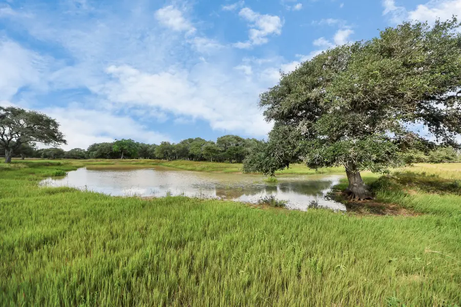 0 Gadwall, Columbus, TX 78934 - #2